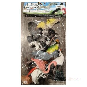 Birds Animals