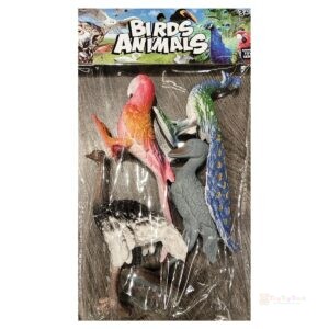 Birds Animals